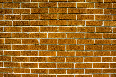Brick wall brick wall background grunge photo
