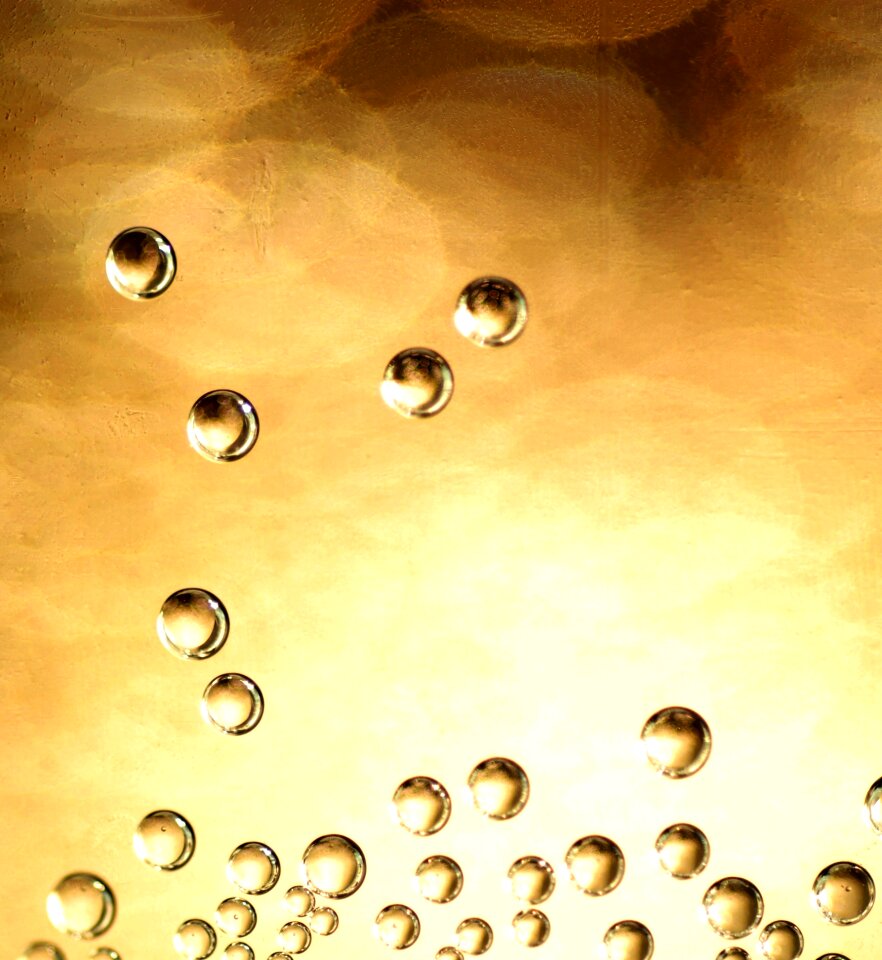 Stampede cuttlefish bubbles