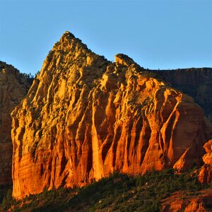 Arizona orange