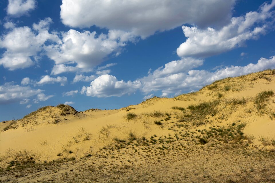 Landscape yellow sand journey