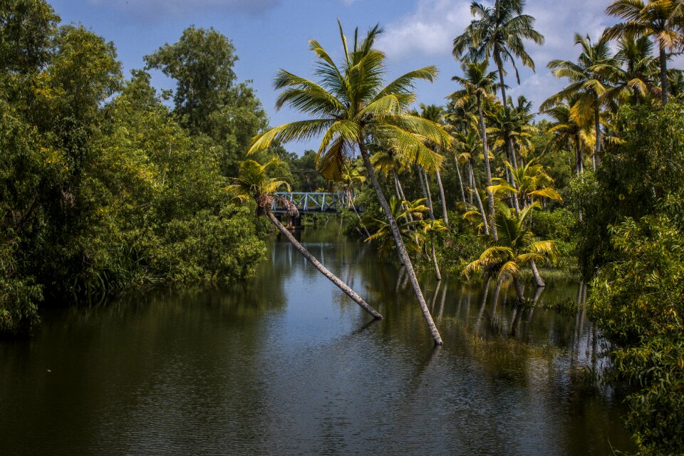Travel water kerala