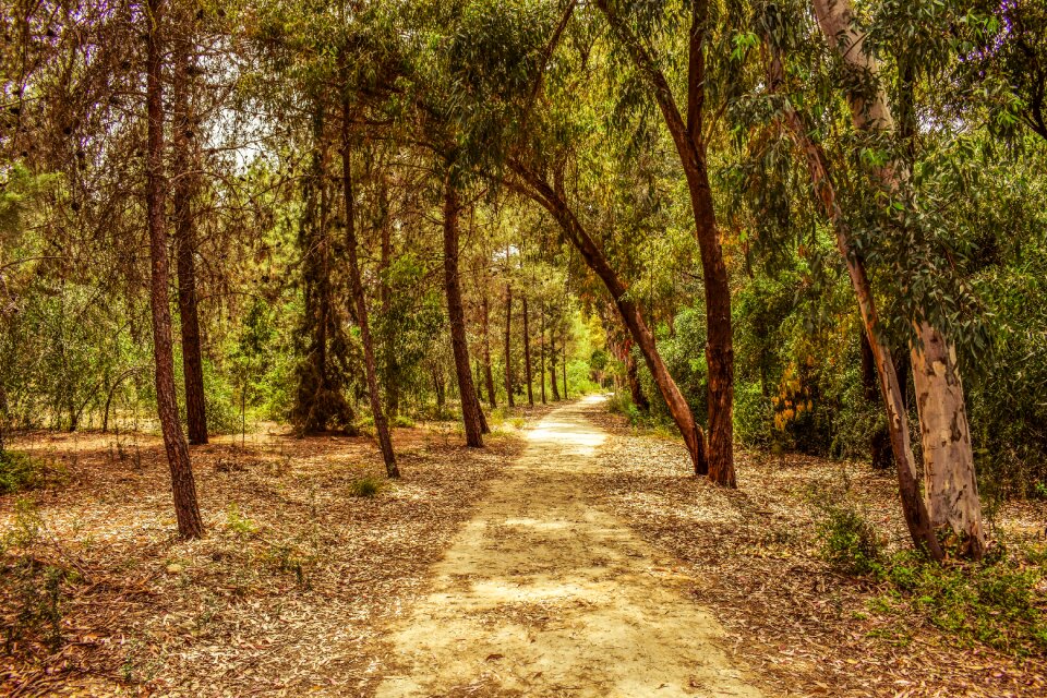 Nature landscape scenery