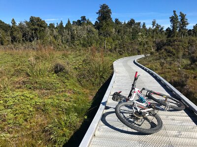 Boardwalk new zealand