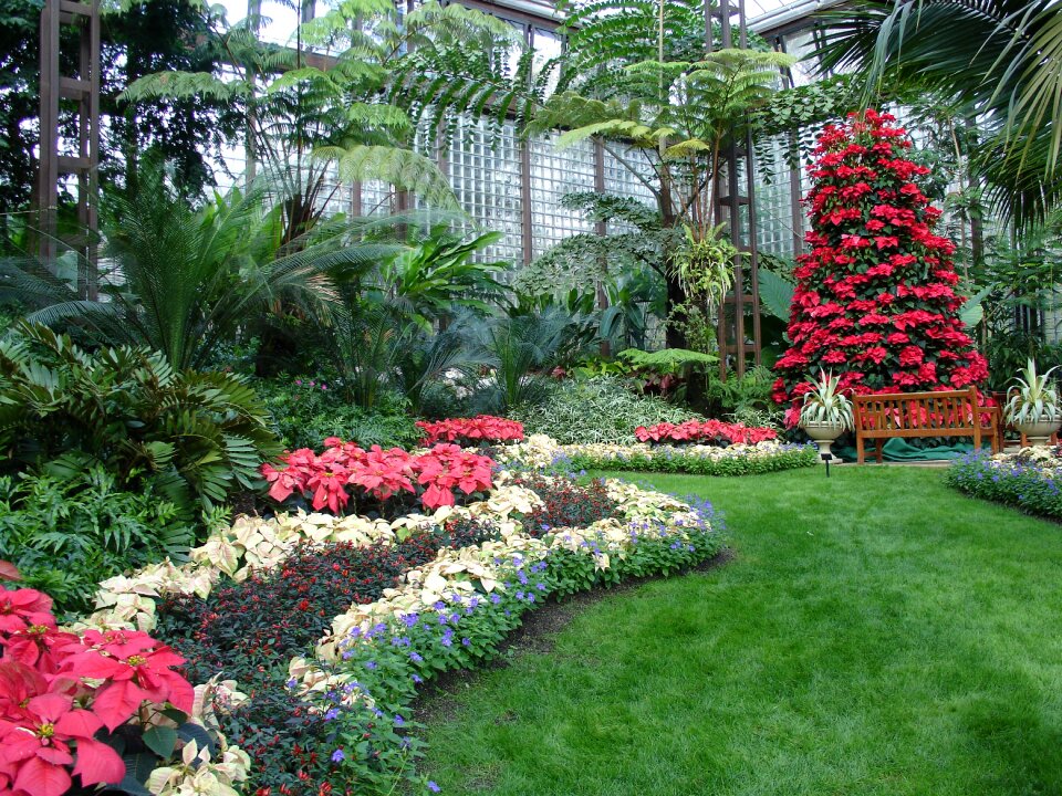 Decoration design flower