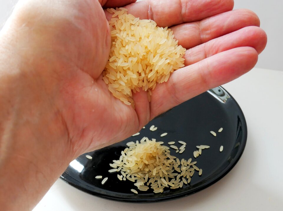 Asia food rice plate