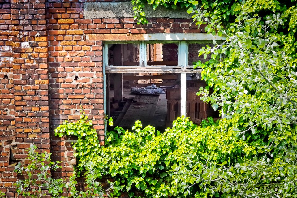 Pforphoto old decay