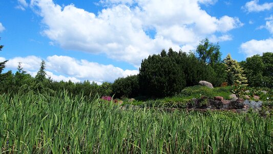 Grass view blue photo