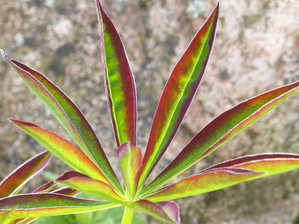 Colors spring earth