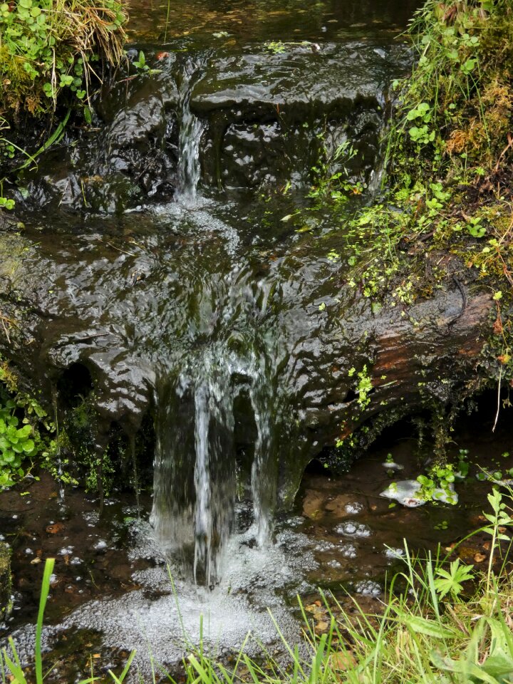 Bach splash waters