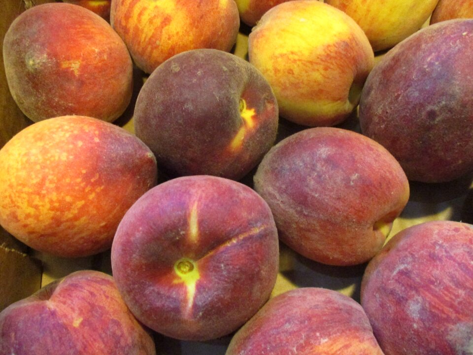Fruit summer fruit fruttariani