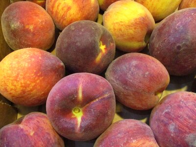 Fruit summer fruit fruttariani