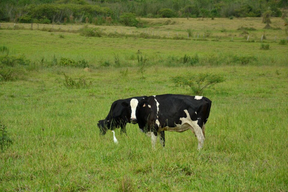 Agriculture farming