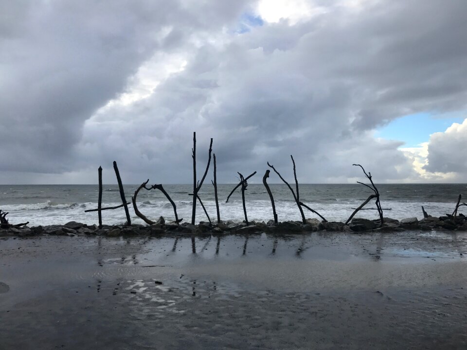 West coast new zealand
