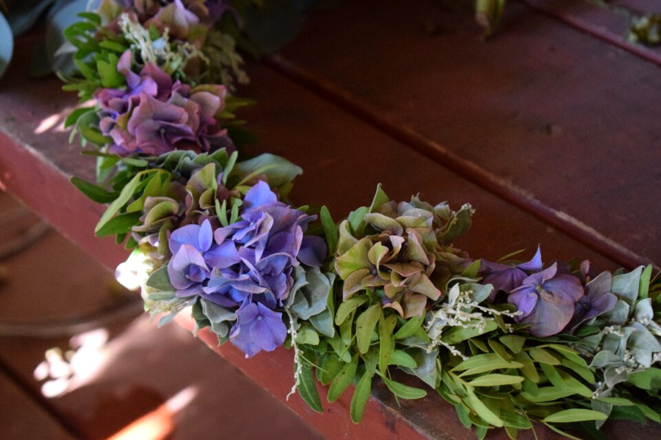 Flower falun red purple