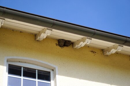 Wall roof house photo