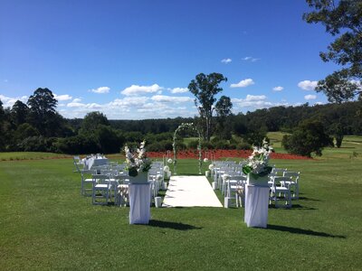 Blue wedding blue golf