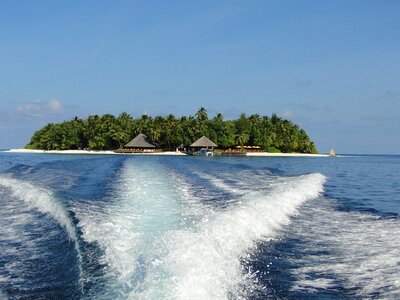 Island water angsana photo