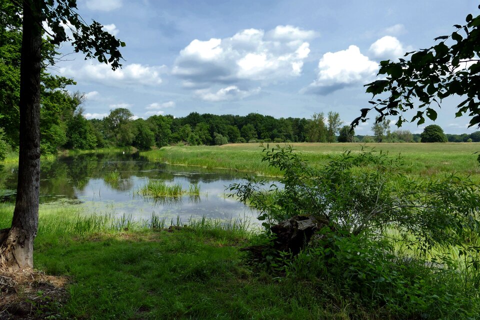Lake landscape biotope