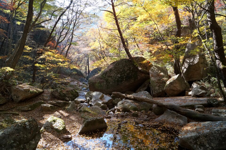 Korea chungbuk songnisan
