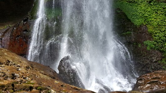 Spring redwood forest creek scenic views