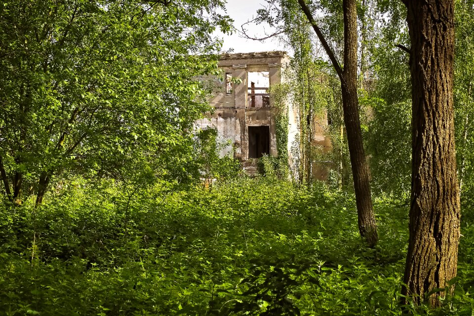 Pforphoto abandoned lapsed