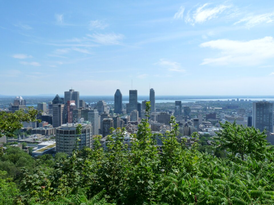 Montréal urban landscape photo