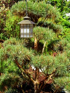 Light lamp stone garden photo