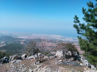 Townscape city ​​center forest