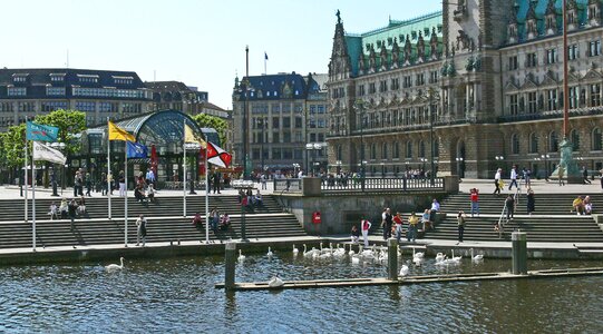 Stairs swans ambulatory photo