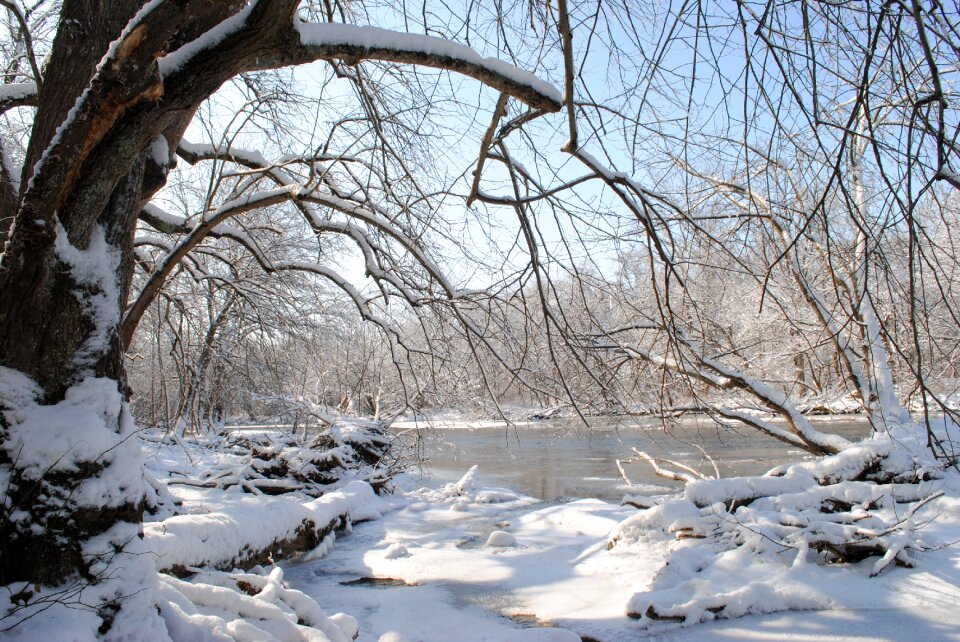 Nature cold landscape