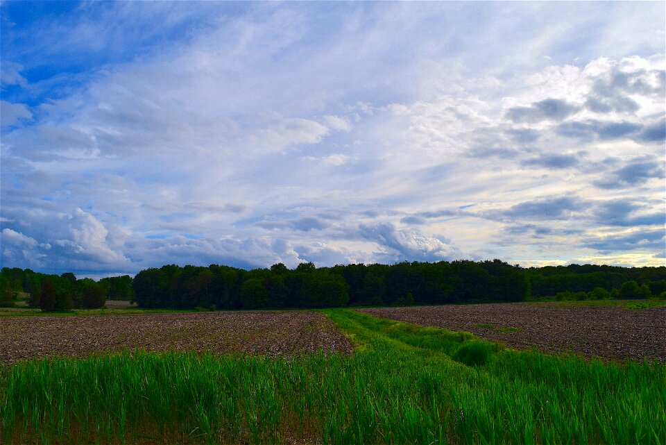 Agriculture landscape farm field photo