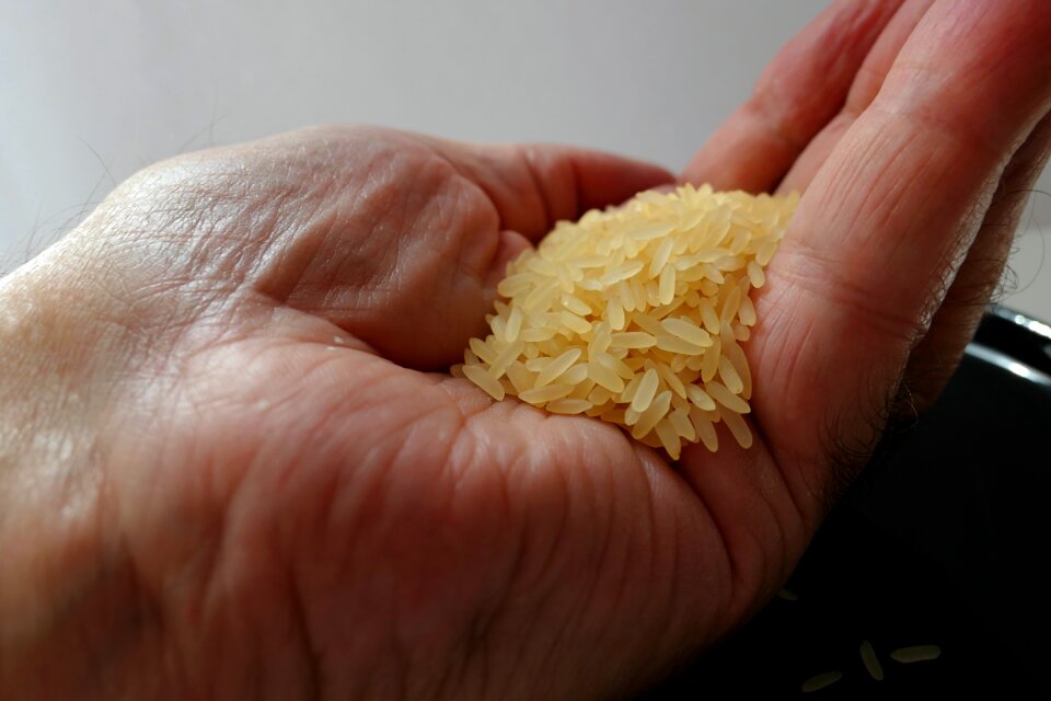 Asia food rice plate