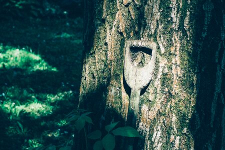 Handle wood log