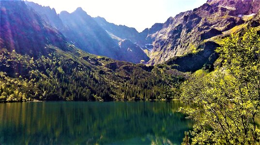 Buried nature polish tatras