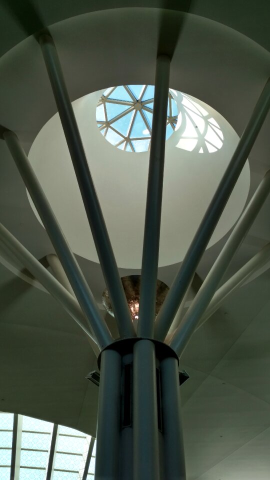 Design building contemporary