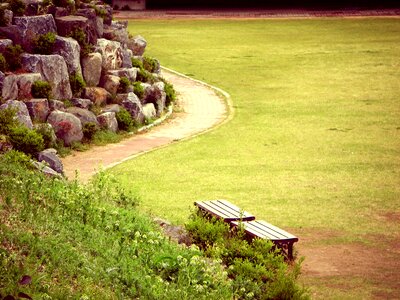 Nature outdoor garden