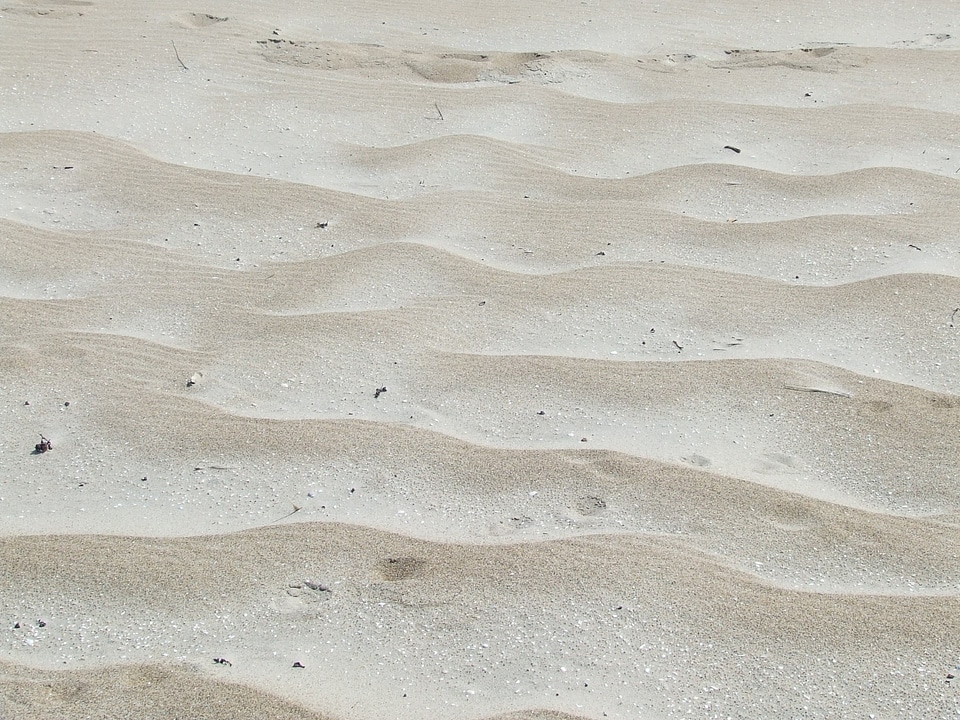 Texture white seaside