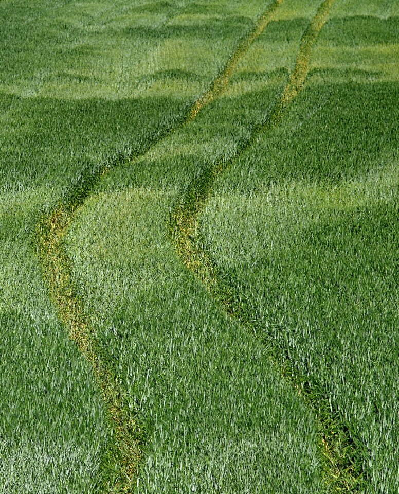 Agriculture village the cultivation of