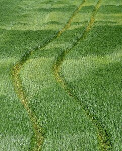 Agriculture village the cultivation of