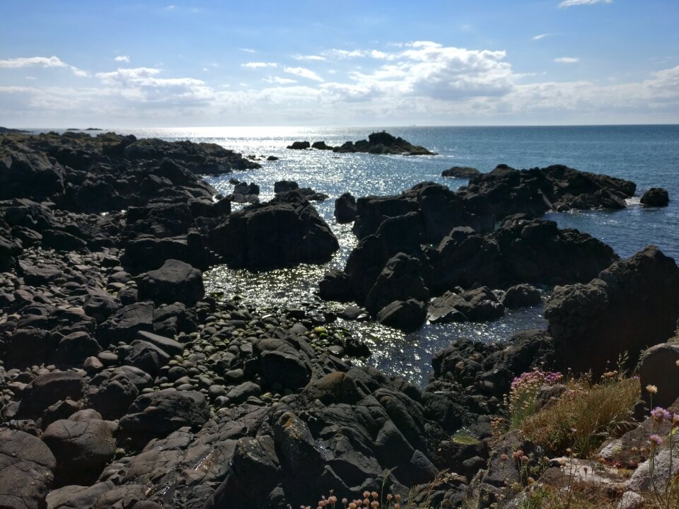 Scotland rock coast