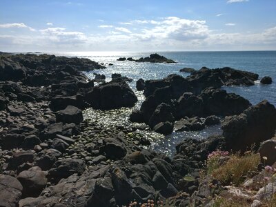 Scotland rock coast