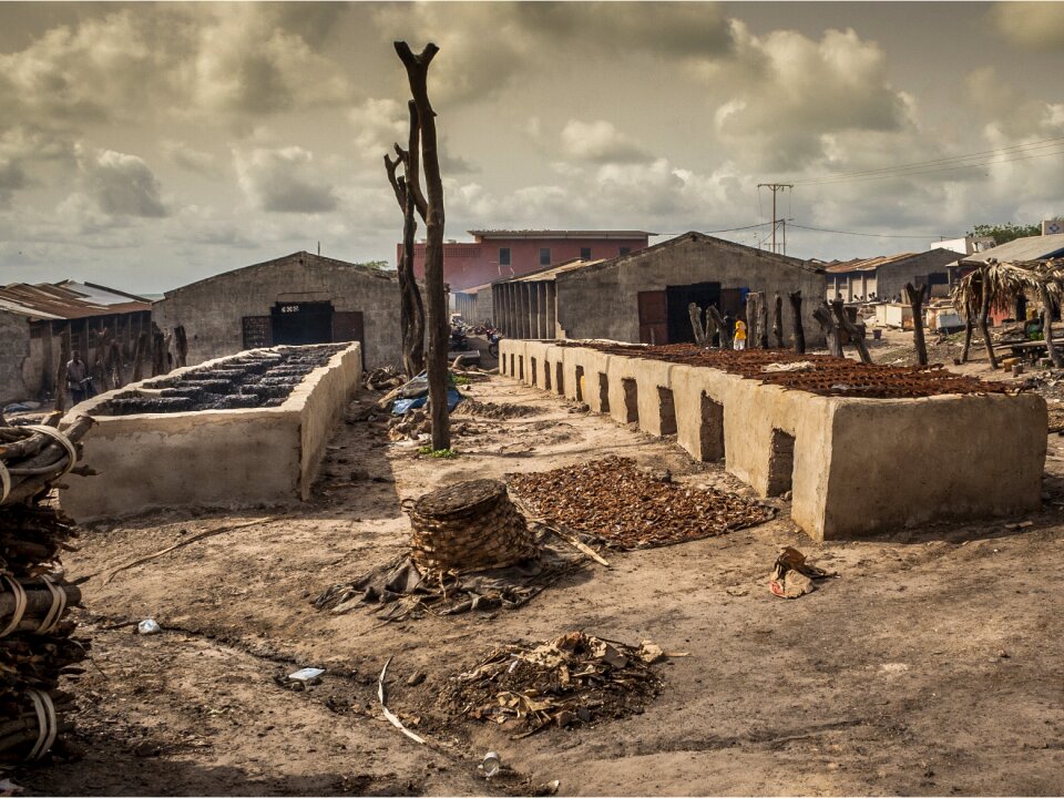 The gambia fish salt lick