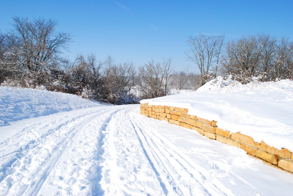 Nature cold landscape