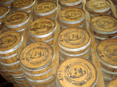 Martinique rhumerie wooden barrels
