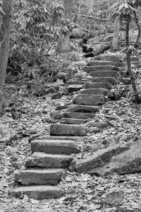 Hiking stone path