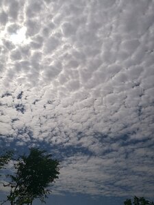 Sunny days white cloud fresh