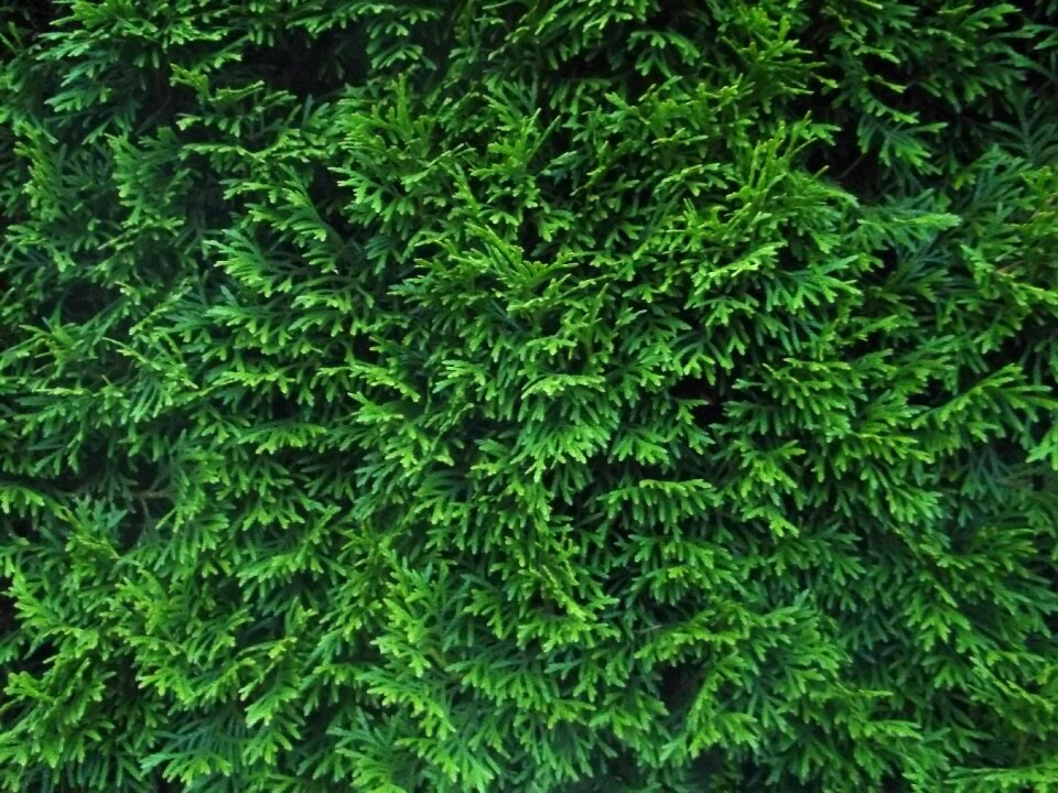 Background texture structure