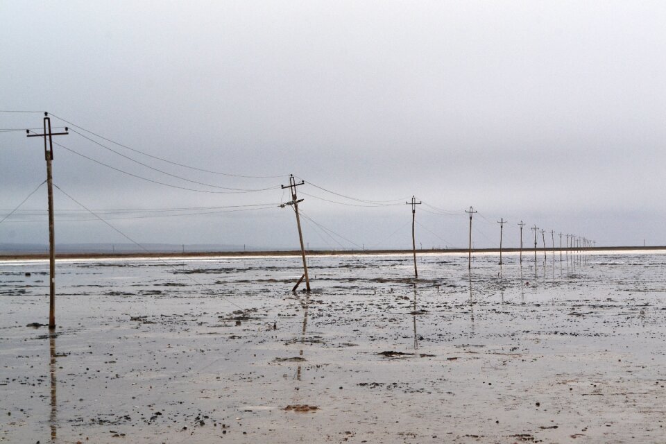 Telephone poles white check card salt lake