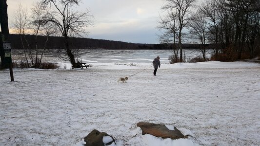 Lake dog photo