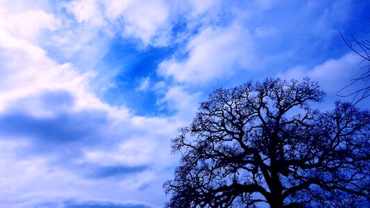 Blue storm winter photo